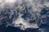 Conservation Blind Spot: Are we ignoring South America’s richests forests?
