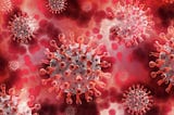 Genome to Pathology: A Coronavirus Deep Dive