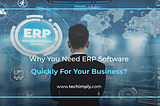 Why Do You Need ERP Software Quickly For Your Business?
