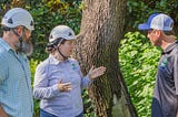 Tips to Maximize Your Consulting Arborist Traffic