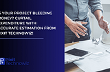 Is Your Project Bleeding Money? Curtail Expenditure with Accurate Estimation from Pixit Technowiz!