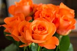 15 Varieties of Roses for Your Garden