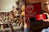 Google Searching These 6 Words Can Get You Hacked