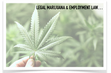 GETTING FIRED FOR USING LEGAL MARIJUANA MAY BE ILLEGAL!