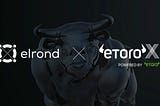 eGold Pe eToroX