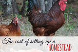 Cost of Setting up a Homestead