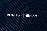 Reflections on Our Journey With Spot, Acquired by NetApp