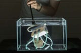 A nervous system for soft robots: Soft Matter Computers (SMCs)
