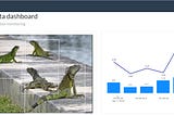 Iguana detection and monitoring with Nvidia Jetson Nano