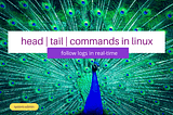 head | tail | How to follow logs in real time? | Linux