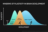 Plasticity Dynamics — How sensitive is your Brain?