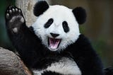 Combining Data — Python & Pandas