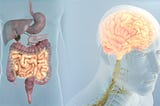 Is Your Digestive System Making You Mentally Sick?