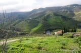 A Scenic Drive on the Terraced Hills of Douro River Valley * Outside Suburbia Travel