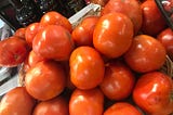 In Search of the Jersey Tomato