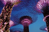 About Gardens By The Bay