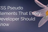 CSS Pseudo Elements That Every Developer Should Know