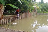 Merapikan Tepian Kolam Ikan