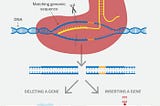 Using Gene Editing to Resurrect Species