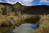 The story of Quito — the first ‘Water Fund’