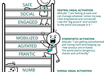 What Is the PolyVagal Theory?