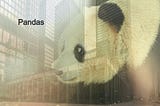 Begin With Pandas In 5mins