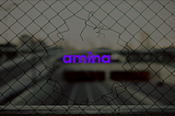 amina: episode 000 | unleashed.