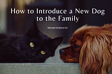 How to Introduce a New Dog to the Family