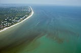 THE NEGATIVE IMPACT OF RED TIDE ON OUR ENVIRONMENT
