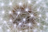 From Story To Sale: Growing a Business with Connections