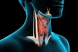 The Thyroid Factor Review- Just another fat loss program?