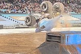 A review of the Monster Trucks