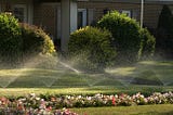 https://www.bobvila.com/articles/best-time-to-water-grass/?