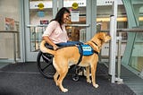 10 things Service Dog Handlers wish you knew.