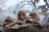 Winter special: Hot springs and saunas across cultures