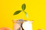 Frugal Living Tips To Be More Sustainable While Saving Money