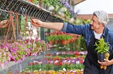 Benefits of ordering from an online plant nursery