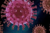 The easiest way to maintain body immunity amid the CORONA Virus