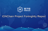 IONChain Project Fortnightly Report [12.09–12.22]