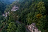 Meager Penalties for Rampant Timber Smuggling in Iran’s Mazandaran