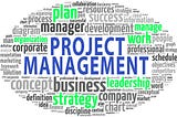 Six Types of Project Managers