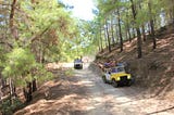 My best safari tours in Alanya and safari tour prices