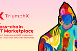TriumphX Function_ PART 2