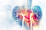 Kidney Health: These 5 things directly harm your kidney, make the distance soon, otherwise this…