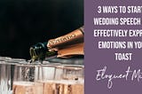 3 Ways To Start A Wedding Speech And Effectively Express Emotions In Your Toast