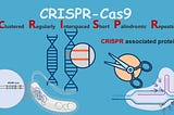 CRISPR: A Geneticist dream