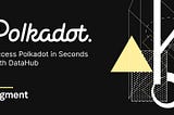 Access Polkadot in Seconds with DataHub