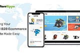 How to create a B2B ecommerce website for global markets