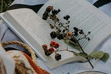 Rosemary and Rue | Will of Wisp ‘neath the Wistful Tree