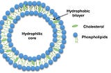 Using triggered drug delivery using Liposomes to finally conquer Cancer: A review.